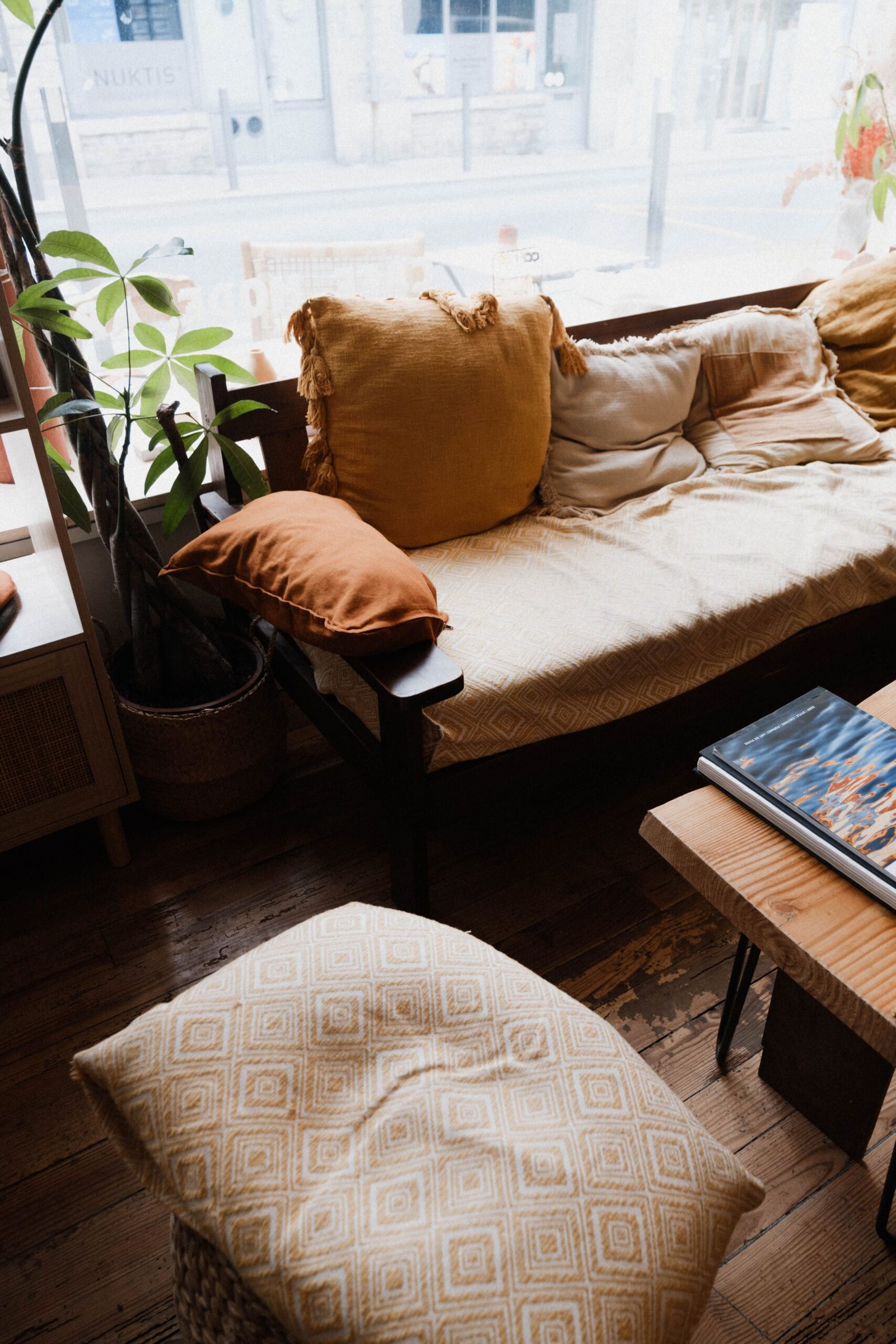 Window and greenery in living room