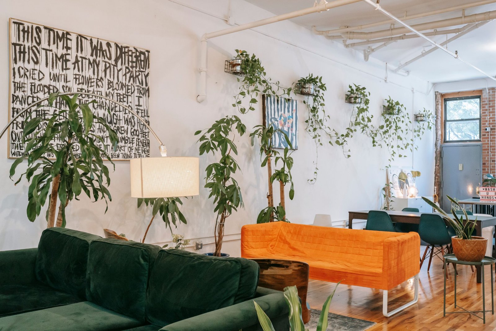 Sofas and indoor plants