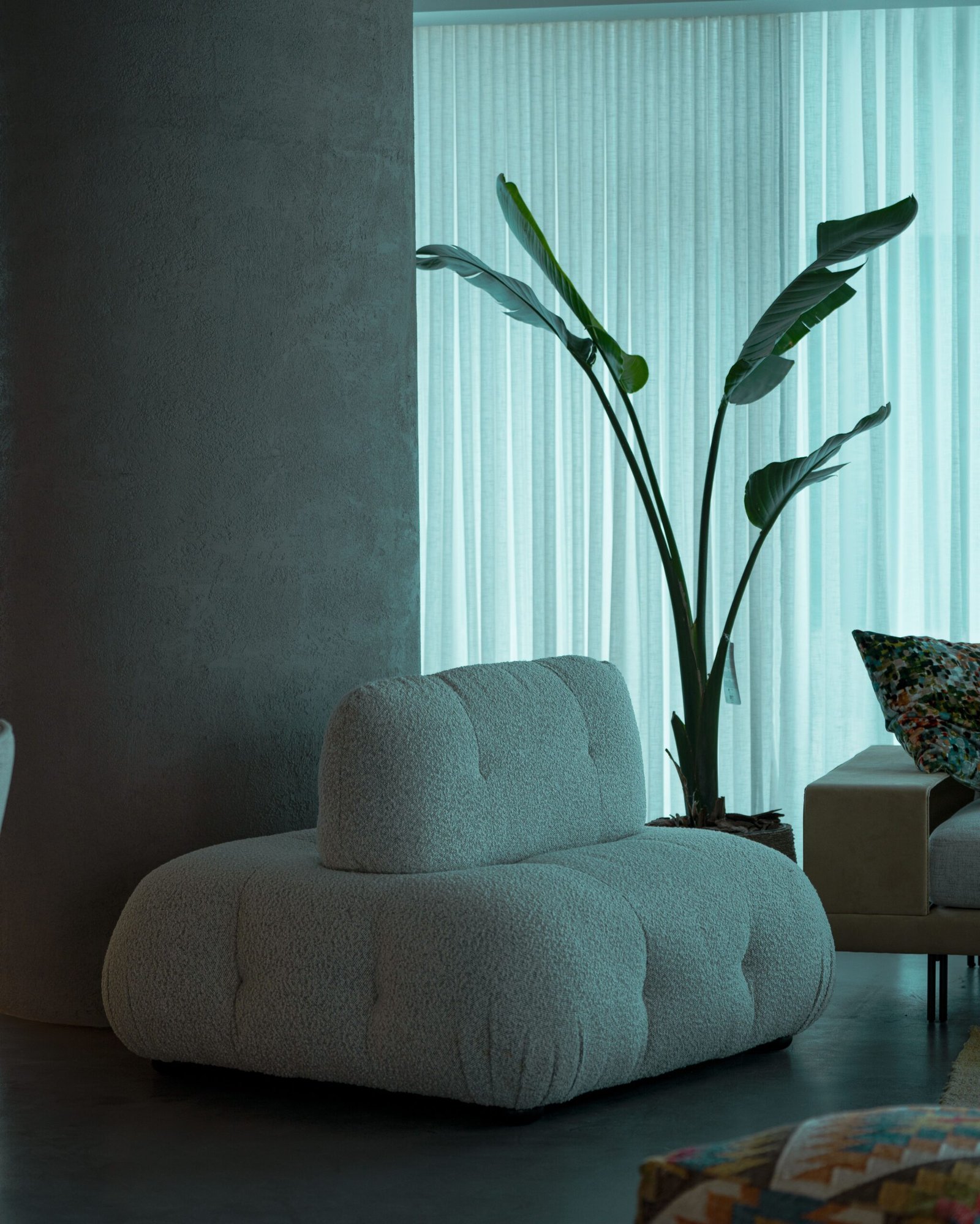 Indoor greenery beside sofa